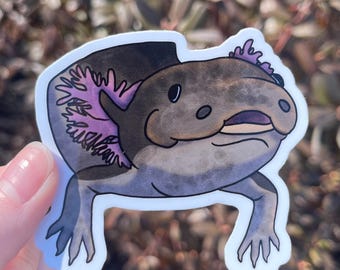 Siren Salamander Sticker, 3", Water Bottle Sticker, Laptop Decal, Axolotl, Cute Animal Sticker, Vinyl Sticker