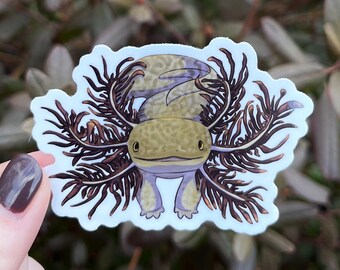 Extravagant Gills Axolotl Sticker, 3", Water Bottle Sticker, Laptop Decal, Cute Animal Sticker, Salamander Vinyl Sticker