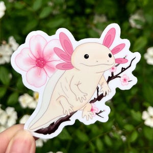 Kirschblüte Axolotl Aufkleber, 7,5 cm Wasserflasche Aufkleber, Laptop Aufkleber, Süßer Tieraufkleber, Frühlingsblumen, Vinyl Aufkleber