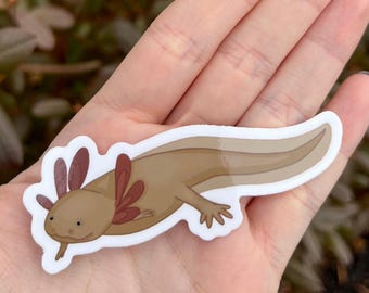 Wild Type Axolotl Sticker, 3", Water Bottle Sticker, Laptop Decal, Cute Animal Sticker, Salamander Vinyl Sticker