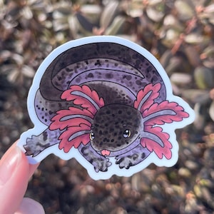 Wild Type “Lotti” Axolotl Sticker, 3", Water Bottle Sticker, Laptop Decal, Cute Animal Sticker, Vinyl Sticker