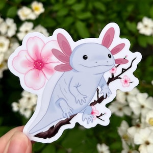 Kirschblüte Axolotl Aufkleber, 7,5 cm Wasserflasche Aufkleber, Laptop Aufkleber, Süßer Tieraufkleber, Frühlingsblumen, Vinyl Aufkleber