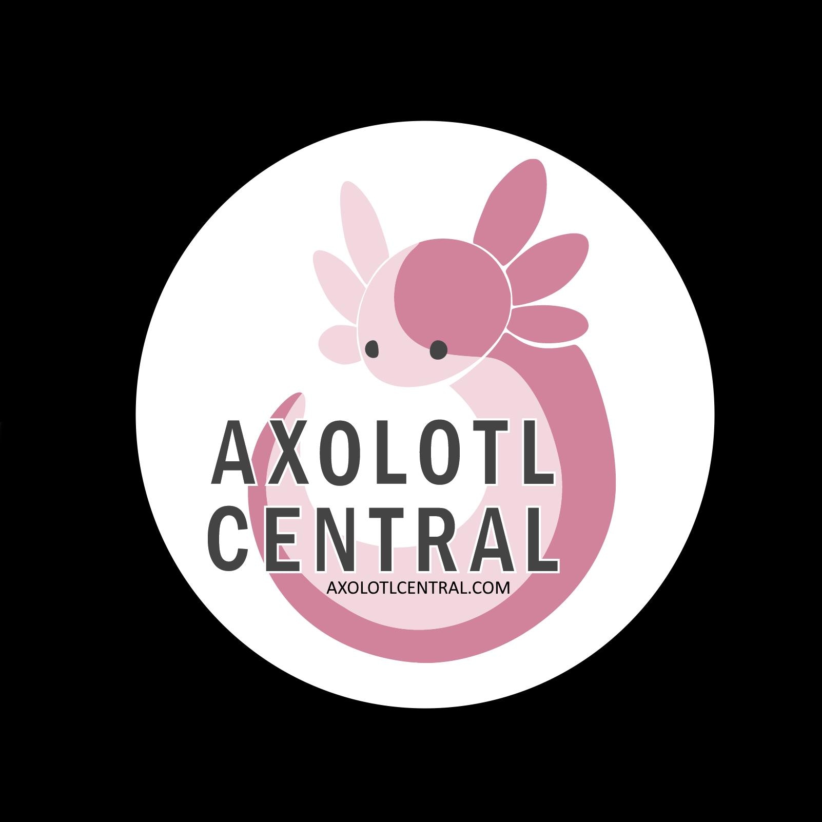 Axolotl Central Logo Sticker, 2", Water Bottle Sticker, Laptop Decal ...