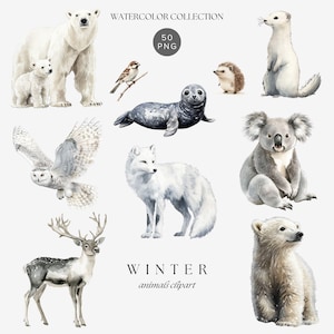 Aquarelle hiver animaux clipart, clipart animaux de la faune arctique, ours polaire renard harfang des neiges renne chien Png, hiver bébé animaux clipart