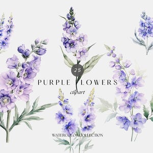 Aquarel paarse bloemen clipart, delphinium bloemen png, bloemen png voor uitnodigingen, lente zomer bloem png, bloemenrand, bloemen bruiloft