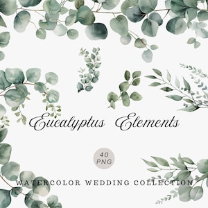 Watercolor Eucalyptus Elements Clipart, Eucalyptus png, Greenery Clipart, Foliage clipart, Leaves png, Eucalyptus border, Wedding flower png