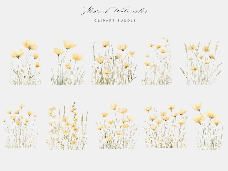 May include: A set of 10 watercolour illustrations of yellow wildflowers with green stems and leaves. The illustrations are perfect for adding a touch of nature to your designs.