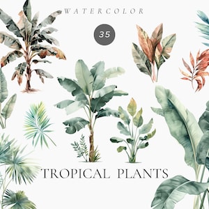Aquarelle plantes tropicales Clipart, éléments tropicaux, clipart feuilles tropicales, palmier, bananier, verdure exotique png, feuilles de palmier png