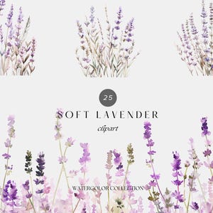 Aquarel zachte lavendel clipart, wilde bloemen bloemen clipart, paarse bloemen clipart png, bloemen elementen png, bloemen veld clipart png