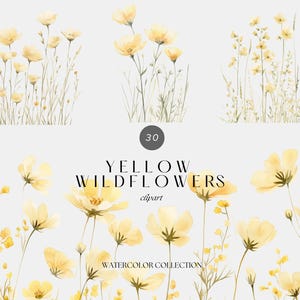 Aquarelle fleurs sauvages jaunes Clipart, Clipart Floral PNG, Floral printemps été, graphiques de fleurs, fleurs pastel des champs, graphiques de mariage