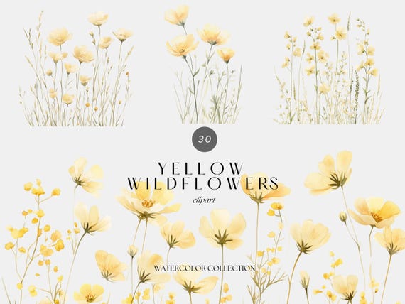 Watercolor Yellow Wildflowers Clipart – Pastel Field Flowers Art, Spring Wedding Design, Digital Download