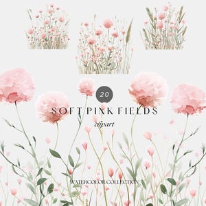 Clipart de campos rosa suave em aquarela, clipart floral de flores silvestres, flores de primavera e verão PNG, clipart floral de casamento PNG, elementos florais PNG