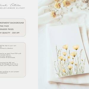 May include: A digital illustration of yellow wildflowers on a white background. The image is part of a collection of 30 PNG files with transparent backgrounds, each measuring 4000 x 4000 pixels and 300 DPI.