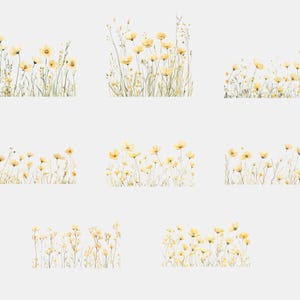 May include: Nine digital illustrations of yellow wildflowers in a field. The illustrations are in a watercolour style and are arranged in three rows of three.
