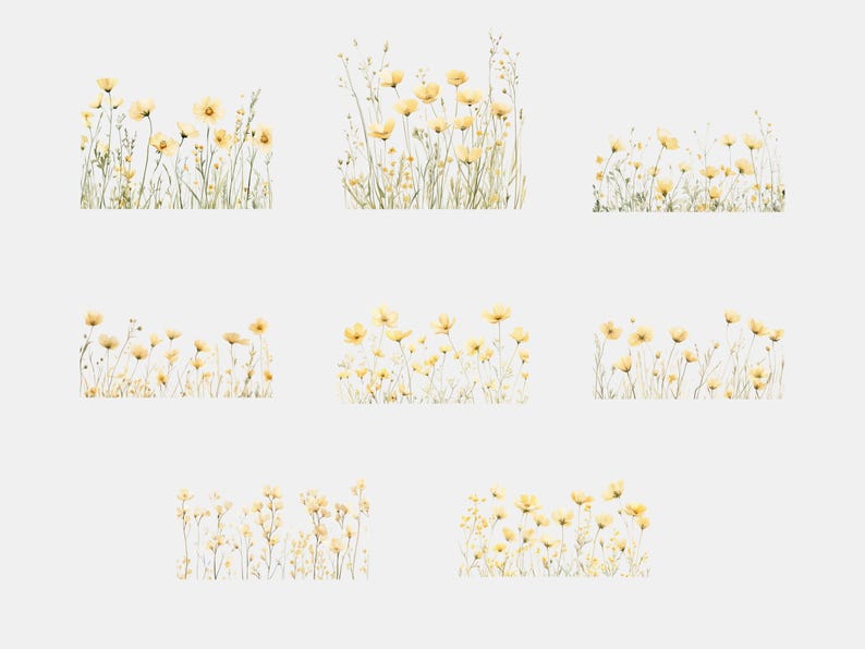 May include: Nine digital illustrations of yellow wildflowers in a field. The illustrations are in a watercolour style and are arranged in three rows of three.