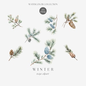 Watercolor Winter Twigs Clipart, Watercolor Pine Twigs Png, Fir branch, Winter Flowers Clipart, Festive Floral Clipart Png , Winter Graphics