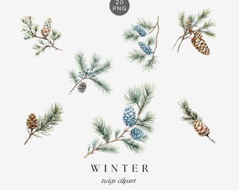 Ilustraciones de ramitas invernales en acuarela: arte con ramas de pino y abeto, ilustración de vegetación navideña, descarga digital