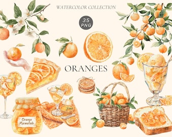 Watercolor Orange Clipart Set  – Citrus Fruit & Juice PNG Set,  Digital Download