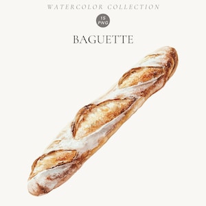 May include: A watercolour illustration of a long, golden-brown baguette with a crusty, scored surface. Above the bread, the text reads WATERCOLOR COLLECTION, 15 PNG, and BAGUETTE in a simple, dark grey serif font against a plain white background.