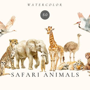 Clipart aquarelle animaux de safari, bébés animaux png, graphiques d'animaux de la jungle, graphiques png tropicaux, décoration de chambre d'enfant, animaux de la savane png