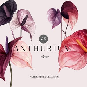 Clipart de flores de antúrio em aquarela, png floral de primavera, png floral de verão, clipart de flores roxas, png de flores de casamento, cartão de convite de casamento