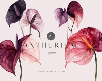 Watercolor Anthurium Clipart – Purple Tropical Flowers Art for Invitations, Digital Download