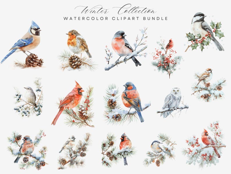 Watercolor Winter Birds Clipart – Red Cardinal & Robin Art, Snowy ...