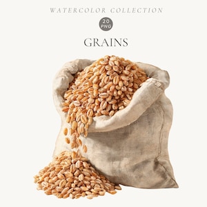 Könnte beinhalten: Ein Jutesack, der mit goldbraunen Weizenkörnern gefüllt ist, wobei einige Körner an der Basis herausfallen. Der Text WATERCOLOR COLLECTION, 20 PNG und GRAINS steht in einer einfachen, dunkelgrauen serifenlosen Schrift über dem Sack.