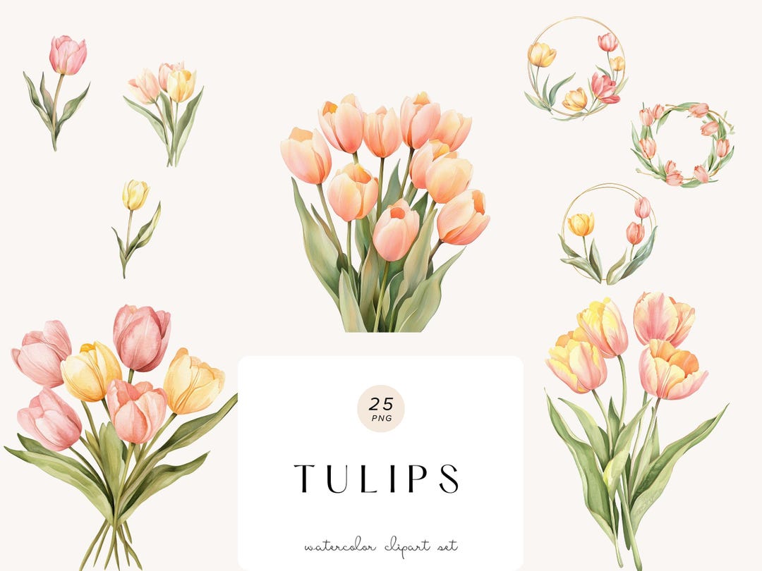 Watercolor Tulips Clipart, Floral Clipart Png, Spring Png Graphics ...