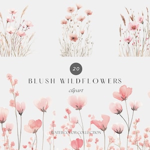 Clipart di fiori selvatici acquerello arrossito, clipart floreale rosa PNG, floreale primaverile estivo, fiore rosa PNG, fiori di campo pastello, grafica per matrimoni