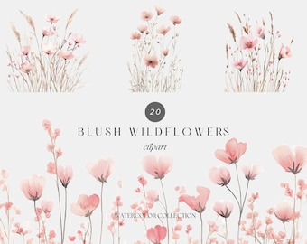 Watercolor Blush Wildflower Clipart, Pink Floral PNG (Digital Download)
