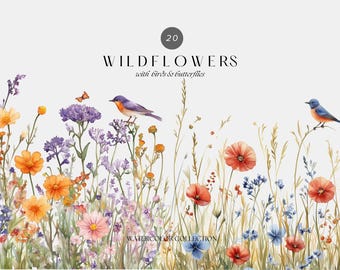 Watercolor Wildflower Clipart – Birds & Butterflies in Floral Spring Scene, Digital Download