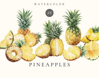 Ilustraciones de piñas tropicales en acuarela – Conjunto de ilustraciones de frutas exóticas, descarga digital