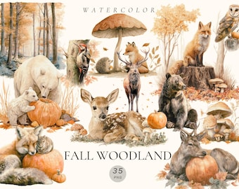 Watercolor Woodland Clipart – Fall Forest Baby Animals PNG, Autumn Art, Digital Download