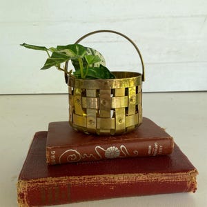 May include: A small, woven brass basket with a handle, holding a small green plant with white variegation. The basket sits atop two antique books with red covers and gold lettering. The books are stacked on top of each other.