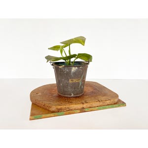 May include: A set of three ceramic canisters with lids, featuring a blue and white floral pattern. The canisters vary in size, with the largest measuring approximately 8 inches in height. They are suitable for kitchen storage.