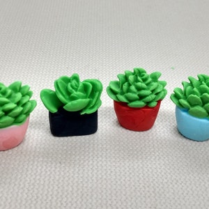 Succulents Fondant Cupcake Toppers 6 Cake Decorations Edible