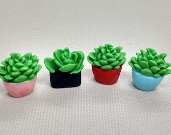 以下が含まれることがあります： 小さな多肉植物が4つ鉢植えになっています。植物は緑色でロゼットの形をしています。鉢はピンク、赤、青、黒です。