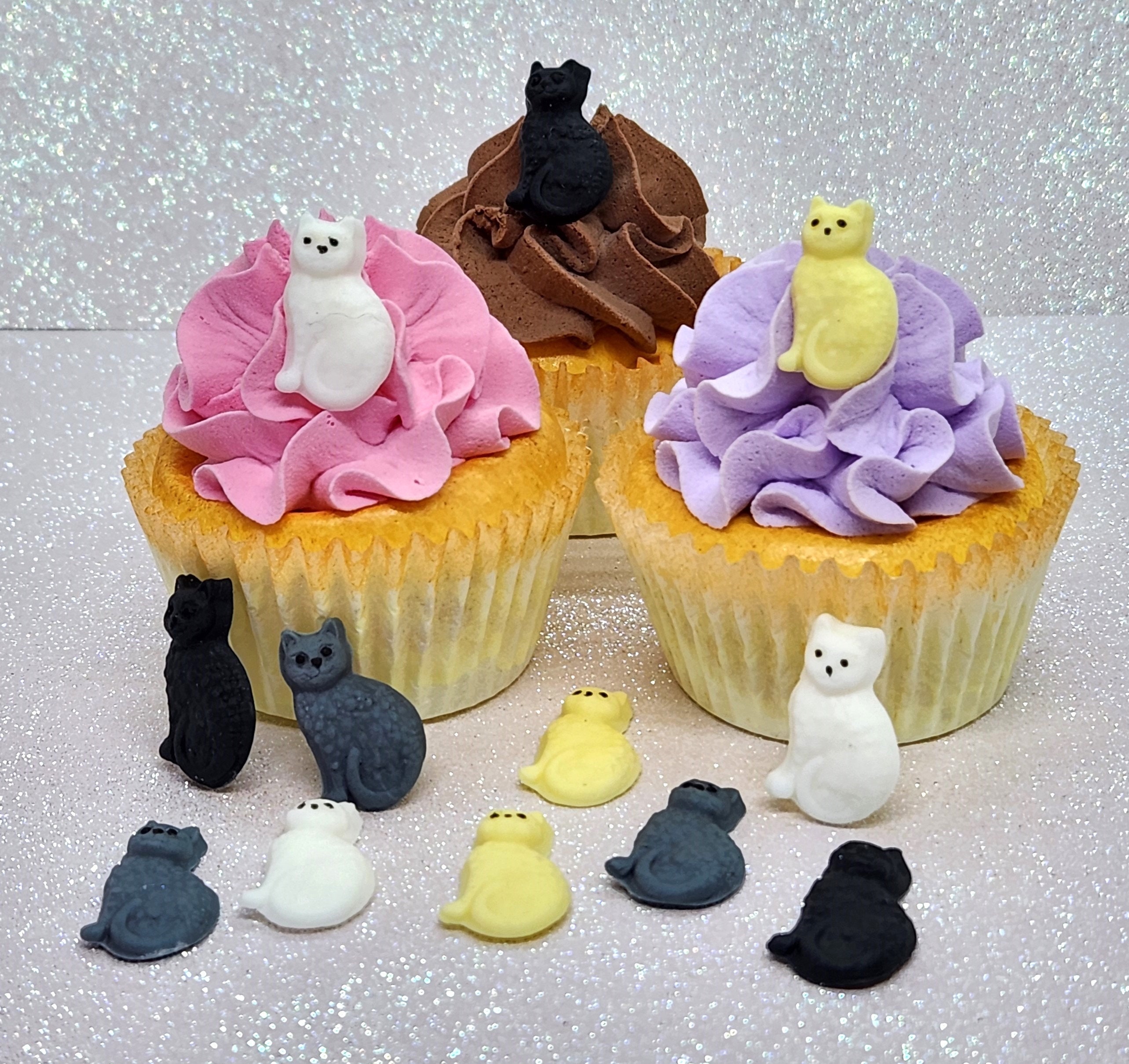 Gato fondant España