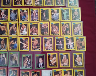 1991 WCW Sting Lugar Rookie Lot