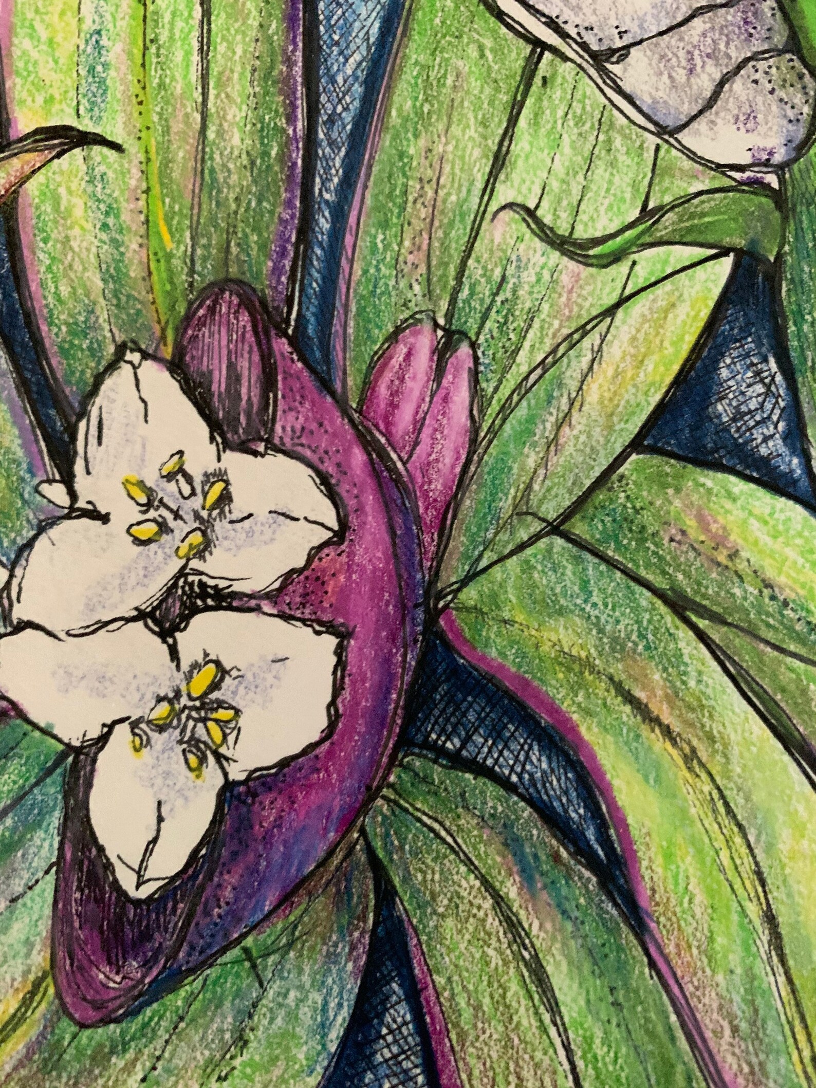 Flowers From Kauai Hawaii Etsy