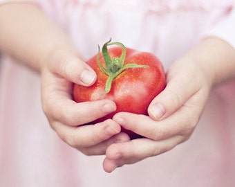 tomato food photography / child hands, garden, grow your own food, vegetable, fruit, red, farm, pink / harvest / 8x8 fine art photo