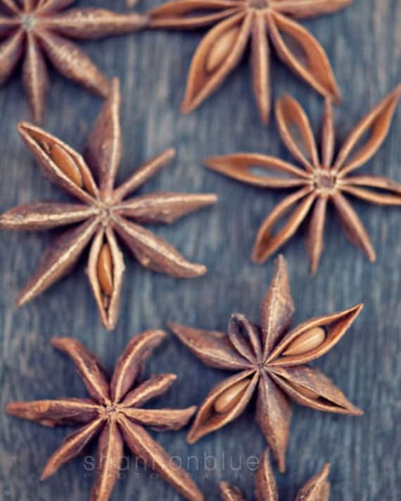 food photography, star anise, spice, kitchen decor, snowflake, brown, gray, grey, wood, wooden, earth tones / star anise / 8x10