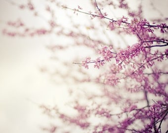 May include: A close-up of a branch of pink blossoms with a blurred background. The flowers are delicate and soft, with a light pink hue. The branches are thin and graceful, creating a delicate and airy feel.