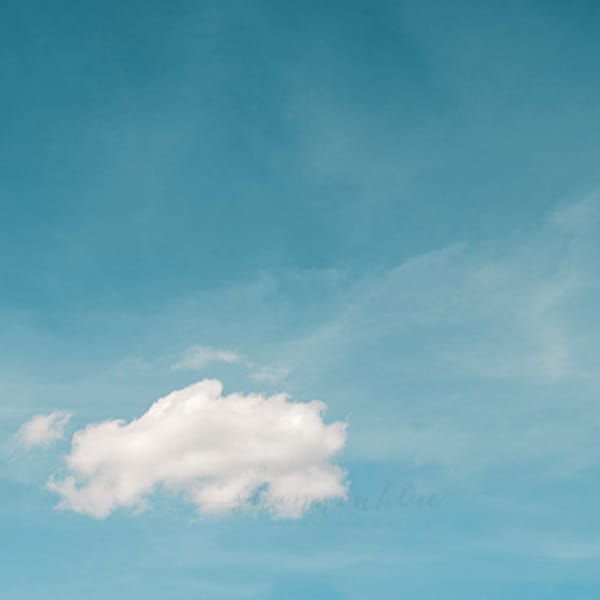 cloud photography / blue sky, nature photography, white, fluffy, light, cotton, fluff, nursery decor, minimalist / poof / 8x10 fine art