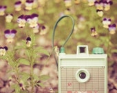 vintage camera photograph / imperial savoy, mint green, seafoam green, viola, flower, outdoors, photographer / savoy / 8x8 fine art photo