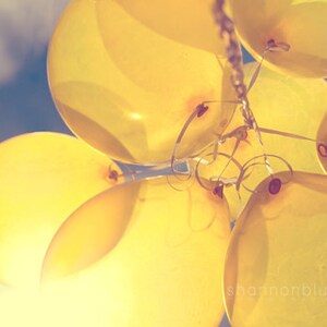 yellow balloon photography / sunny, lemon yellow, blue sky, birthday, party, sun, celebrate / shine through / 8x10 fine art photo image 1