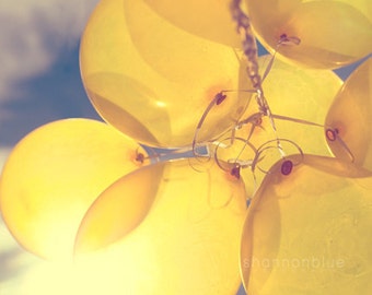 yellow balloon photography / sunny, lemon yellow, blue sky, birthday, party, sun, celebrate / shine through / 8x10 fine art photo