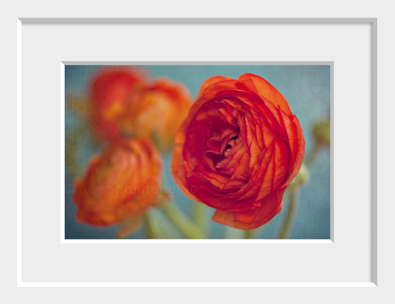 Still Life Photography / Botanical Vibrant Orange Red - Etsy