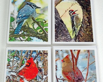 Blank Bird Note Card Set Your Choice, Blank Greeting Cards for Birdwatchers or Nature Lovers, Male & Female Cardinals, Blue Jay - Sapsucker